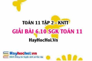 Bài 6.10 SGK Toán 11 Tập 2 Kết nối tri thức